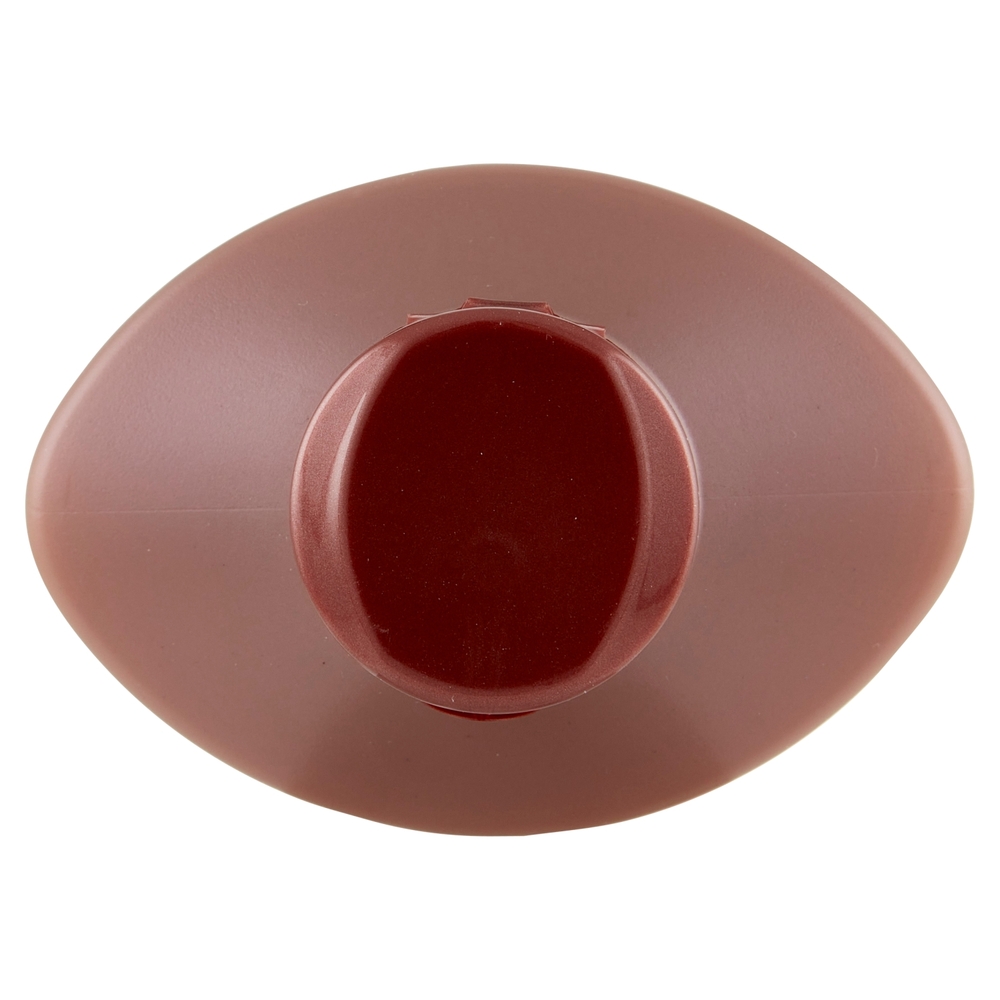 Franck Provost Expert Couleur Shampoo Professionale 500 ml